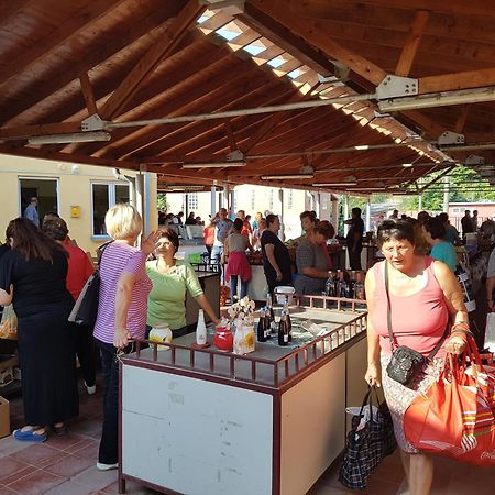 Nena & Rale Rooms Donji Milanovac Εξωτερικό φωτογραφία