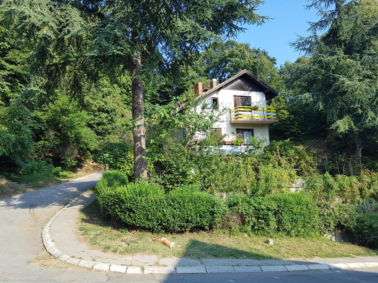 Nena & Rale Rooms Donji Milanovac Εξωτερικό φωτογραφία