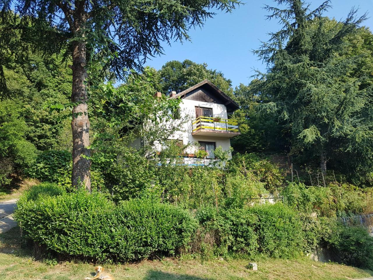 Nena & Rale Rooms Donji Milanovac Εξωτερικό φωτογραφία