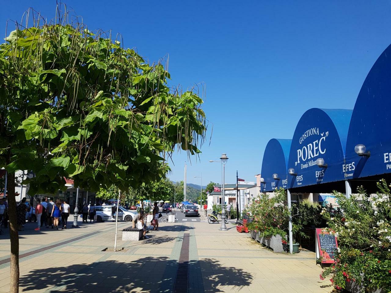 Nena & Rale Rooms Donji Milanovac Εξωτερικό φωτογραφία